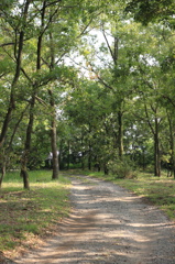 散歩道