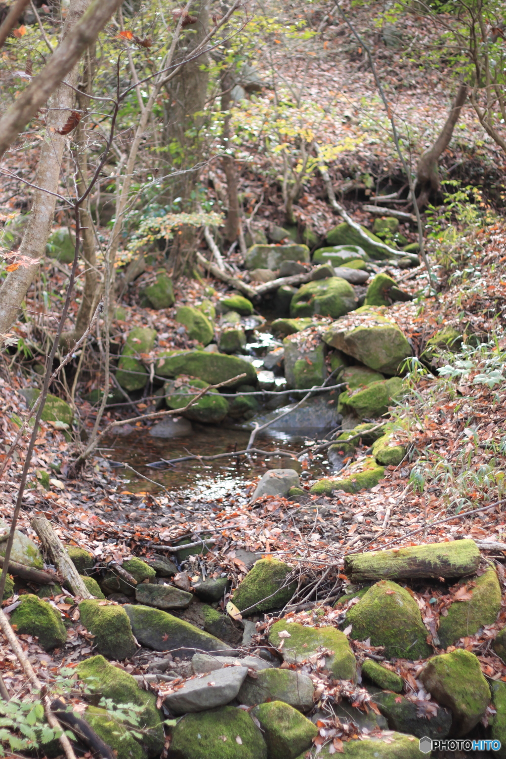 平成森林公園