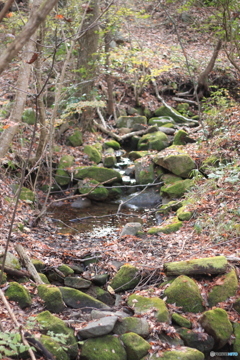 平成森林公園