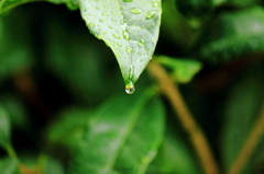 雨の日