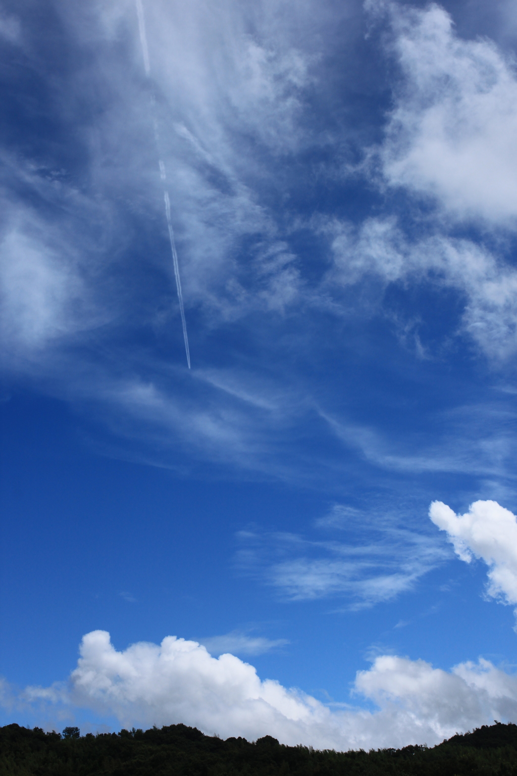 夏空と飛行機雲