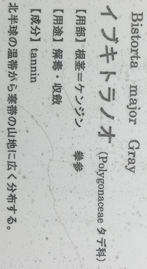 イブキトラノオ花名札