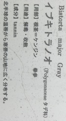 イブキトラノオ花名札