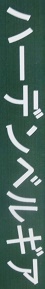 ハーデンベルギア名札