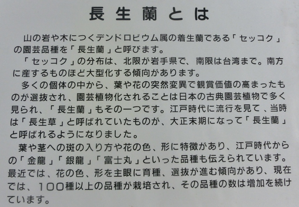 長生蘭とは