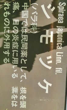 シモツケ名札