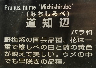 ミチシルベ名札