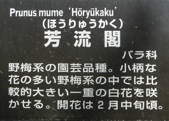 ホウリュウカク名札