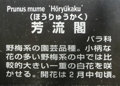 ホウリュウカク名札