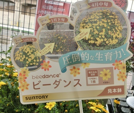 ビーダンス名札