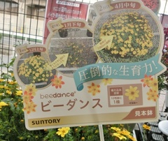 ビーダンス名札