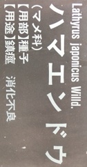 ハマエンドウ名札