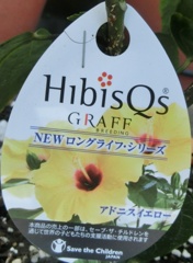 ハイビスカス・アドニスイエロー名札
