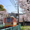 城と桜と電車