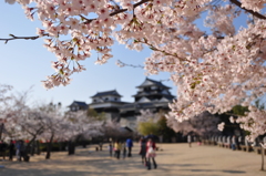 春の松山城