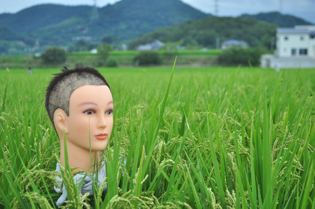 リアルなかかし