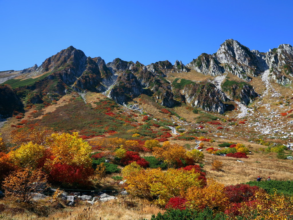 中央アルプス 千畳敷の紅葉