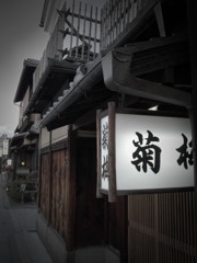 菊桜