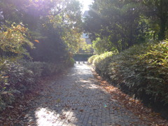 いい天気