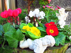 寄せ植えの天使