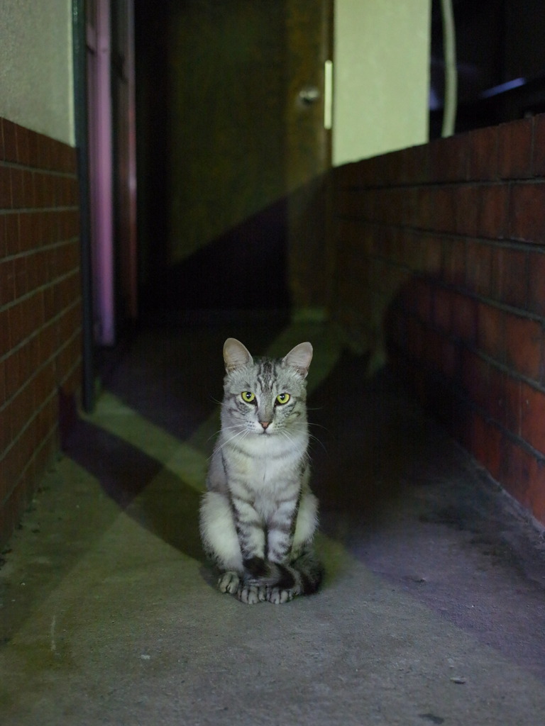 門番