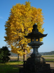 常夜燈