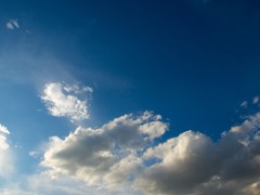 青