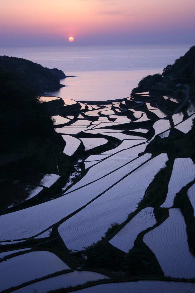 棚田