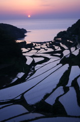 棚田
