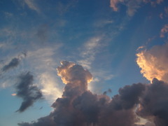 雲