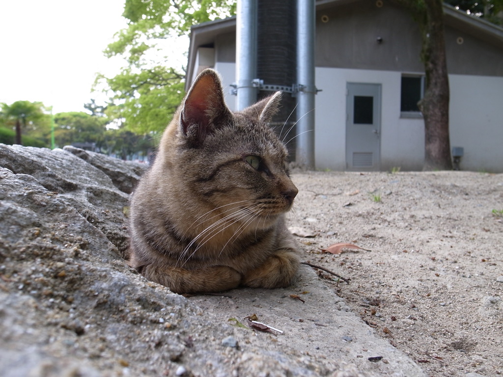 右