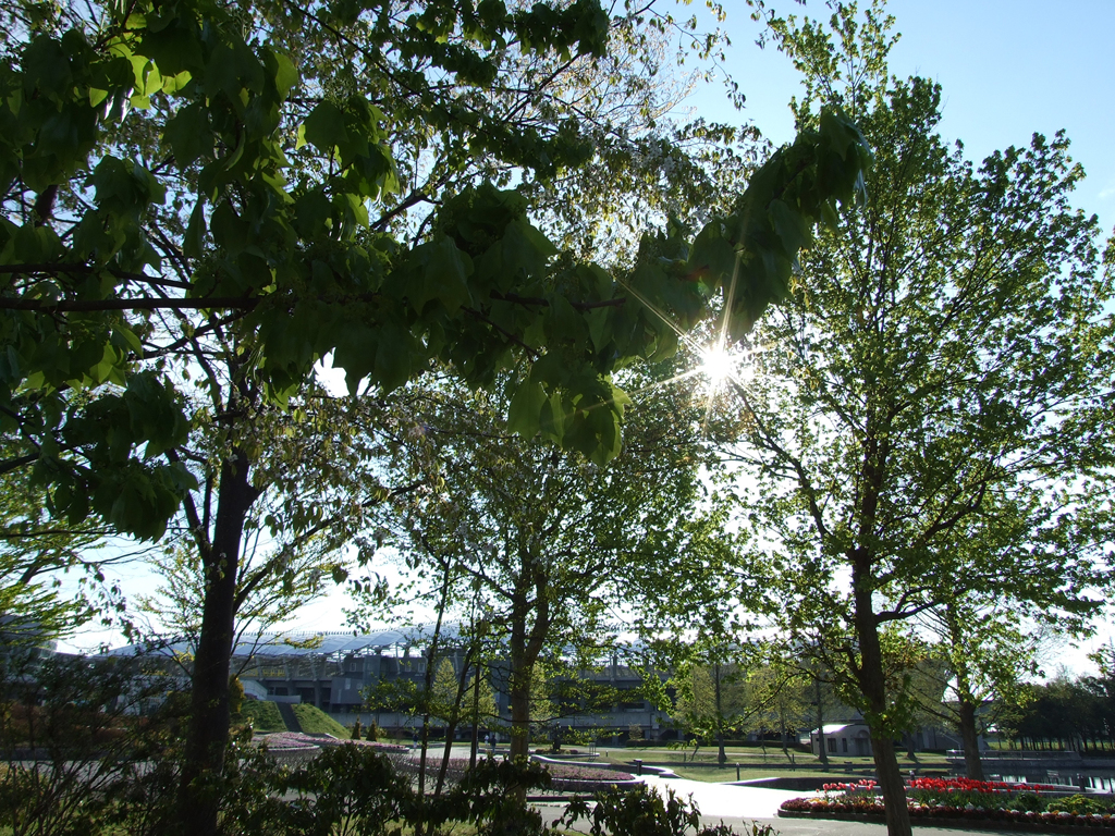 A061
