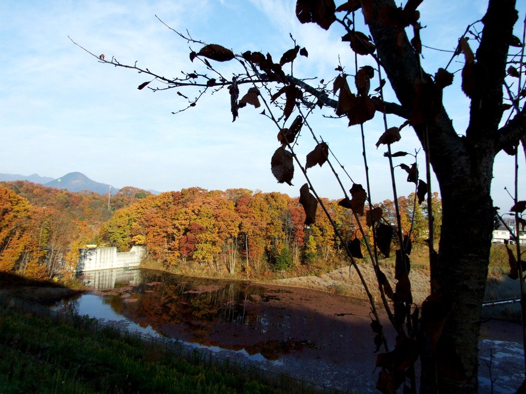 里山紅葉001
