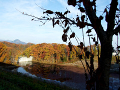 里山紅葉001