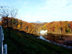 里山紅葉003