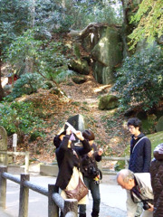 07_瑞巌寺の紅葉02