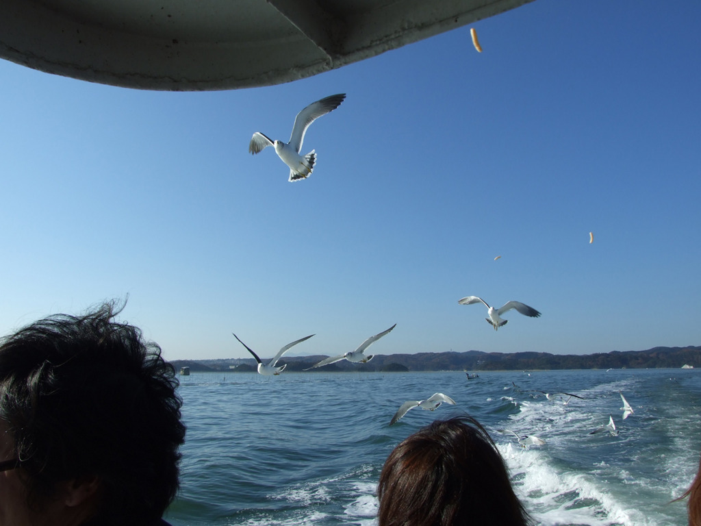 23_鴎とえびせんと青い空