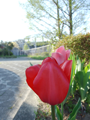 A020