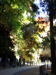 06_瑞巌寺の紅葉01