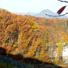 里山紅葉005