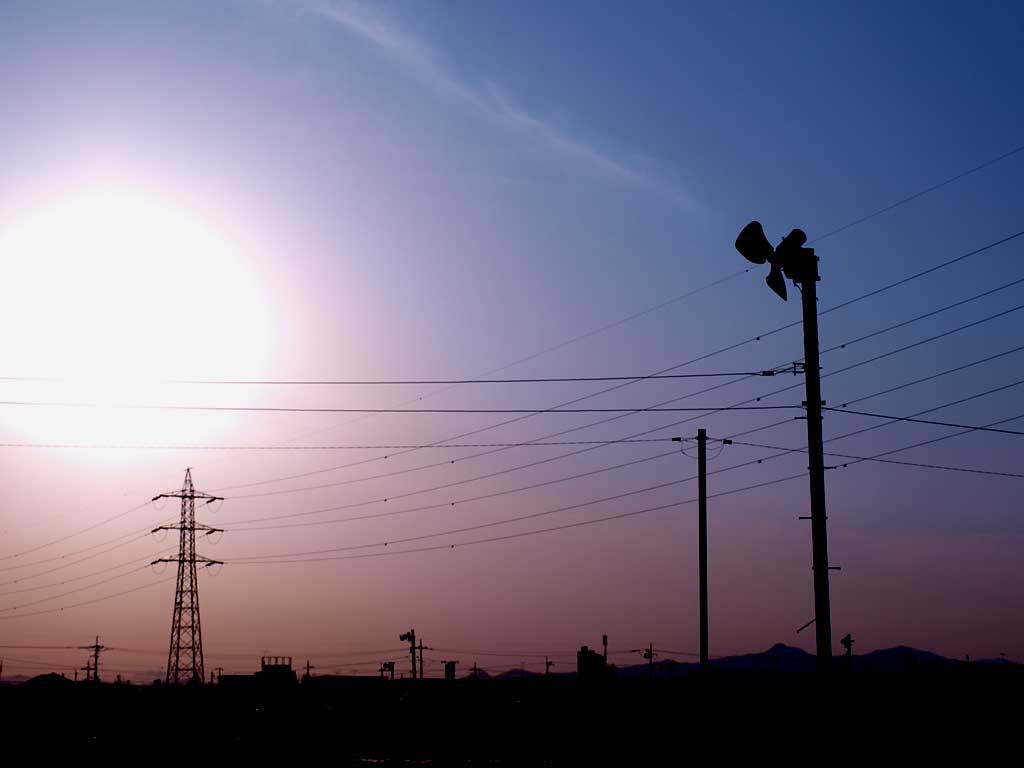 茶畑の夕日