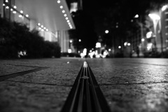 DSC_5333