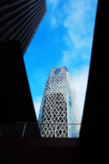 DSC_5247ps