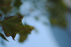 DSC_8493
