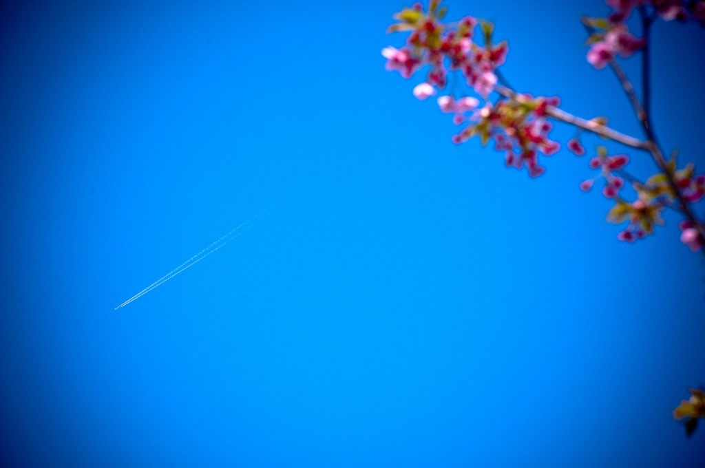 青空飛行