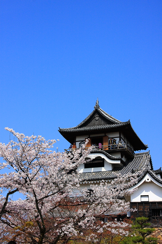 国宝～犬山城～