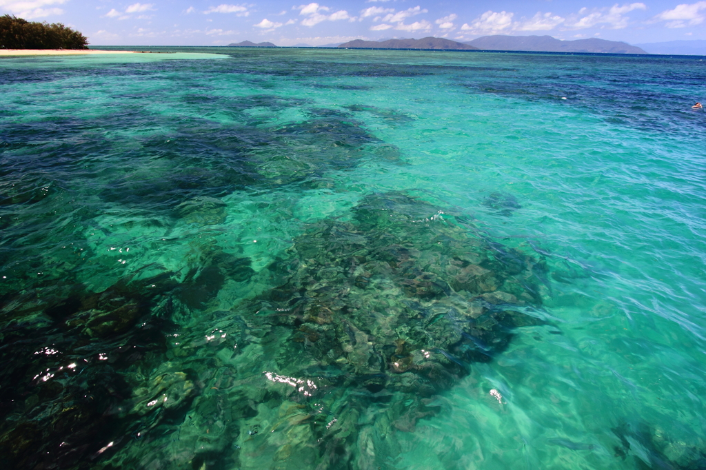 GREAT BARRIER REEF