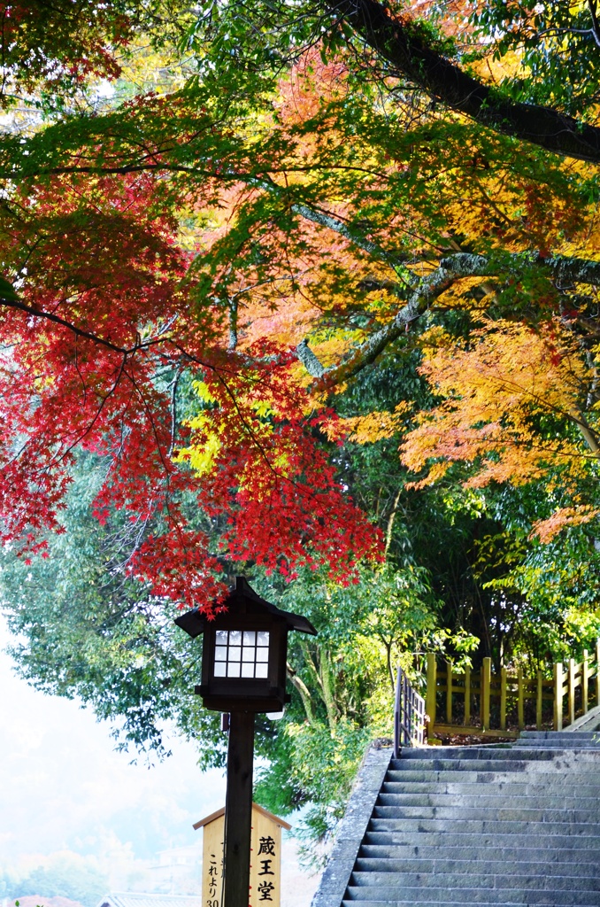 吉野山
