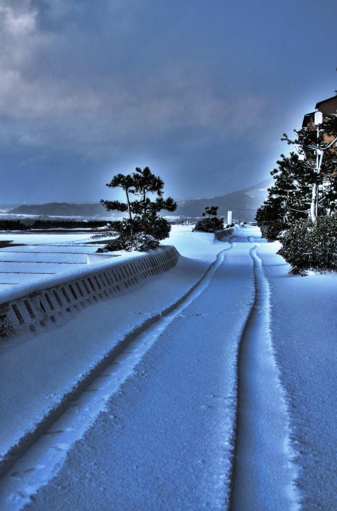 海辺の雪道