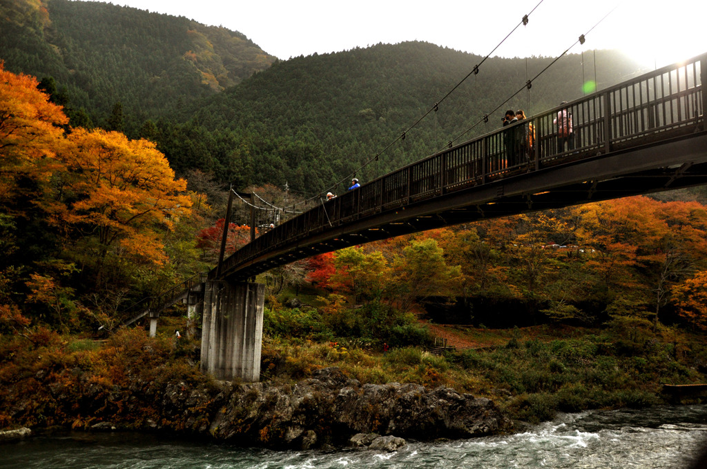 御岳紅葉３